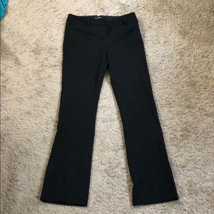 Black express columnist dress pants